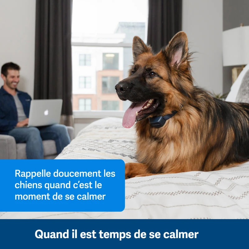 PetSafe ANTI ABOIEMENT SONORE RECHARGEABLE 5 PetSafe ANTI ABOIEMENT SONORE RECHARGEABLE â Image 3