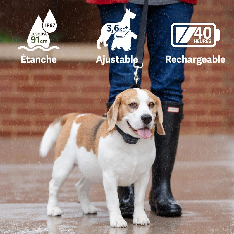 PetSafe ANTI ABOIEMENT SONORE RECHARGEABLE 6 PetSafe ANTI ABOIEMENT SONORE RECHARGEABLE â Image 4