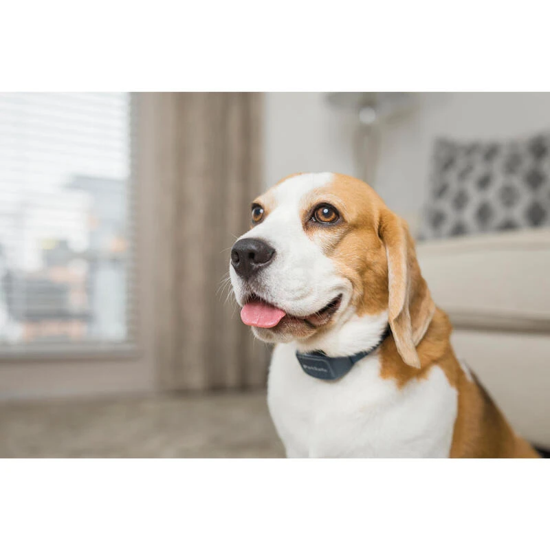 PetSafe ANTI ABOIEMENT SONORE RECHARGEABLE 9 PetSafe ANTI ABOIEMENT SONORE RECHARGEABLE â Image 7