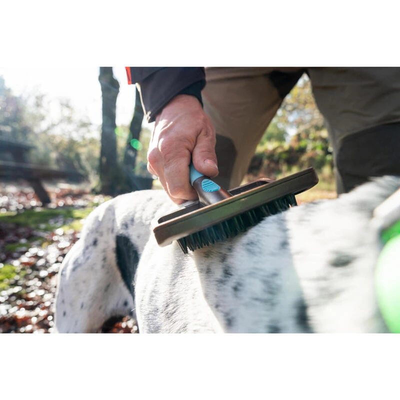 No Brand BROSSE DE MASSAGE POUR CHIEN 6 No Brand BROSSE DE MASSAGE POUR CHIEN – Image 4