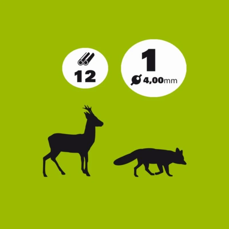 CARTOUCHE CHEVREUIL 38g CALIBRE 12/70 PLOMB N°1 X10 4 CARTOUCHE CHEVREUIL 38g CALIBRE 12/70 PLOMB N°1 X10 – Image 2