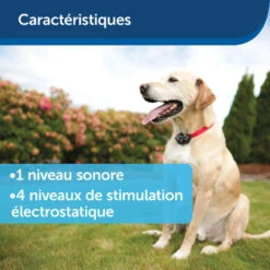 Clôture Anti-fugue Invisible Pour Chien Petsafe 20 Clôture Anti-fugue Invisible Pour Chien Petsafe -Aventure Soldes cloture anti fugue invisible pour chien petsafe 8