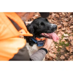 Collier Anti-aboiement Pour Chien Num'axes Canicalm Premium 7 Collier Anti-aboiement Pour Chien Num'axes Canicalm Premium -Aventure Soldes collier anti aboiement pour chien numaxes canicalm premium 2