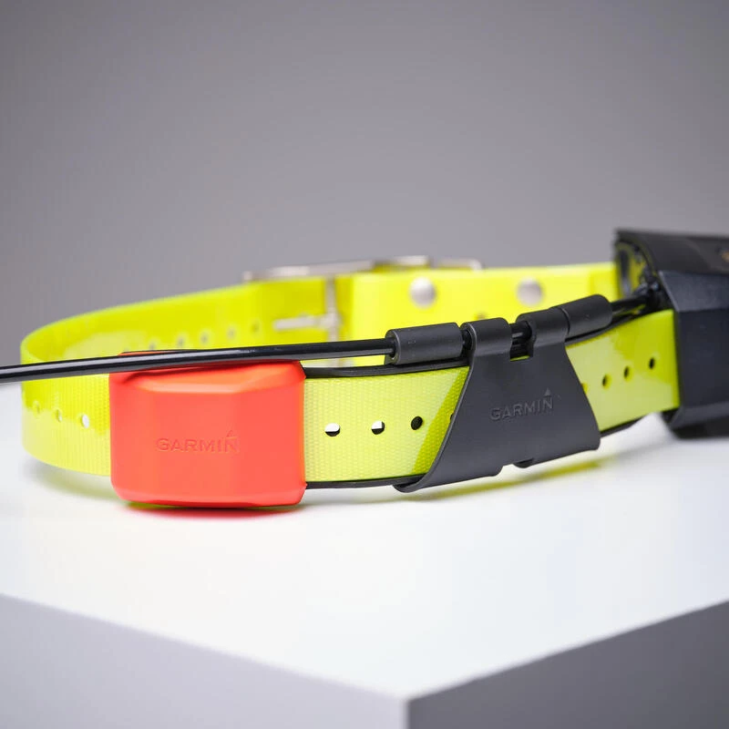 Collier Supplémentaire De Repérage Pour Chien Garmin T5X 9 Collier Supplémentaire De Repérage Pour Chien Garmin T5X – Image 7