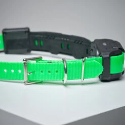 Collier Supplémentaire Repérage Et Dressage Pour Chien Dogtra Pathfinder 12 Collier Supplémentaire Repérage Et Dressage Pour Chien Dogtra Pathfinder -Aventure Soldes collier supplementaire reperage et dressage pour chien dogtra pathfinder 2