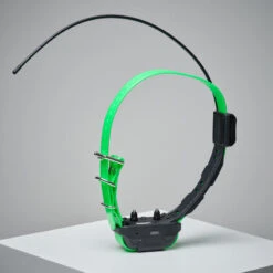 Collier Supplémentaire Repérage Et Dressage Pour Chien Dogtra Pathfinder