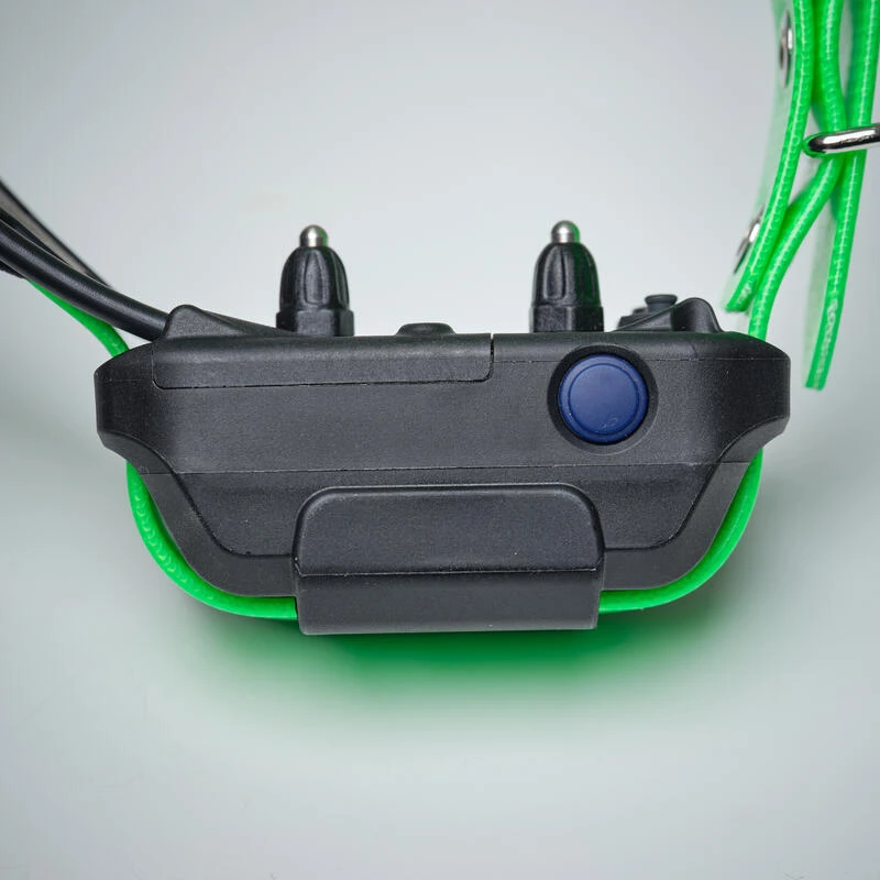 Collier Supplémentaire Repérage Et Dressage Pour Chien Dogtra Pathfinder 9 Collier Supplémentaire Repérage Et Dressage Pour Chien Dogtra Pathfinder – Image 7