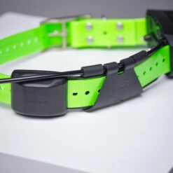 Collier Supplémentaire Repérage Et Dressage Pour Chien Garmin TT15X 15 Collier Supplémentaire Repérage Et Dressage Pour Chien Garmin TT15X -Aventure Soldes collier supplementaire reperage et dressage pour chien garmin tt15x 5