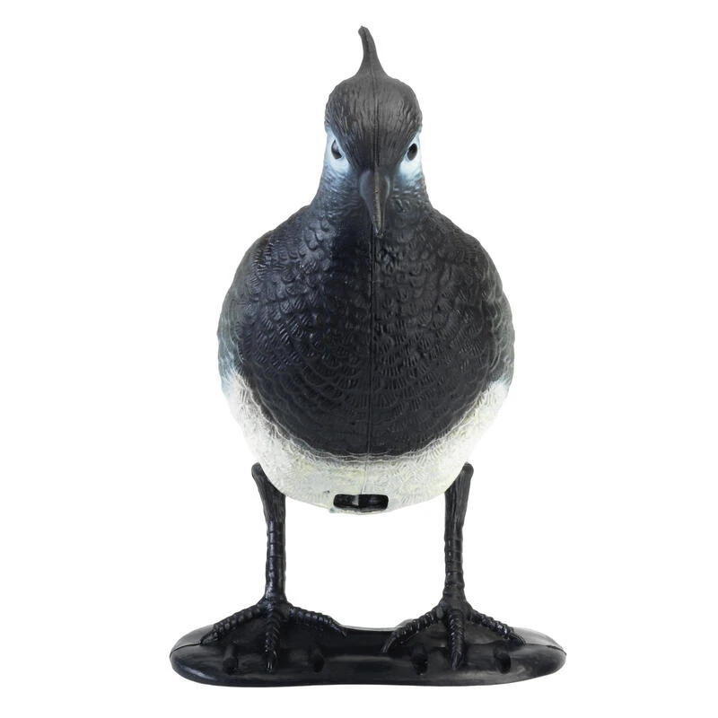 WEDZE FORME VANNEAU 4 WEDZE FORME VANNEAU – Image 2