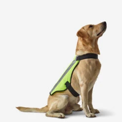GILET CHIEN CHASSE JAUNE 100 11 GILET CHIEN CHASSE JAUNE 100 -Aventure Soldes gilet chien chasse jaune 100 2