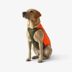 Gilet De Protection Pour Chien Supertrack -Aventure Soldes gilet de protection pour chien supertrack 3