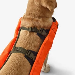Gilet De Protection Pour Chien Supertrack -Aventure Soldes gilet de protection pour chien supertrack 4