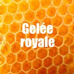 OVERSTIMS Coup De Fouet Citron - 4x30g -Aventure Soldes overstims coup de fouet citron 4x30g 4