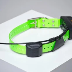 PACK COLLIER + TÉLÉCOMMANDE DE REPÉRAGE/DRESSAGE CHIEN GARMIN ALPHA 200 TT15X 19 PACK COLLIER + TÉLÉCOMMANDE DE REPÉRAGE/DRESSAGE CHIEN GARMIN ALPHA 200 TT15X -Aventure Soldes pack collier telecommande de reperagedressage chien garmin alpha 200 tt15x 7