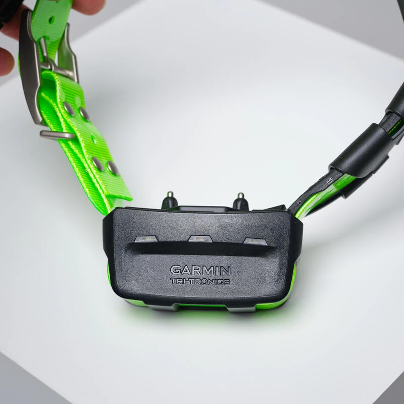 PACK COLLIER + TÉLÉCOMMANDE DE REPÉRAGE/DRESSAGE CHIEN GARMIN ALPHA 200 TT15X 11 PACK COLLIER + TÉLÉCOMMANDE DE REPÉRAGE/DRESSAGE CHIEN GARMIN ALPHA 200 TT15X – Image 9
