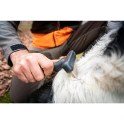 No Brand PEIGNE 37 DENTS POUR CHIEN 11 No Brand PEIGNE 37 DENTS POUR CHIEN -Aventure Soldes peigne 37 dents pour chien 4